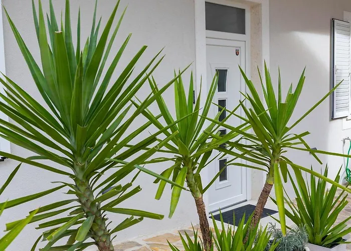 Varos بيت ضيافة 3*